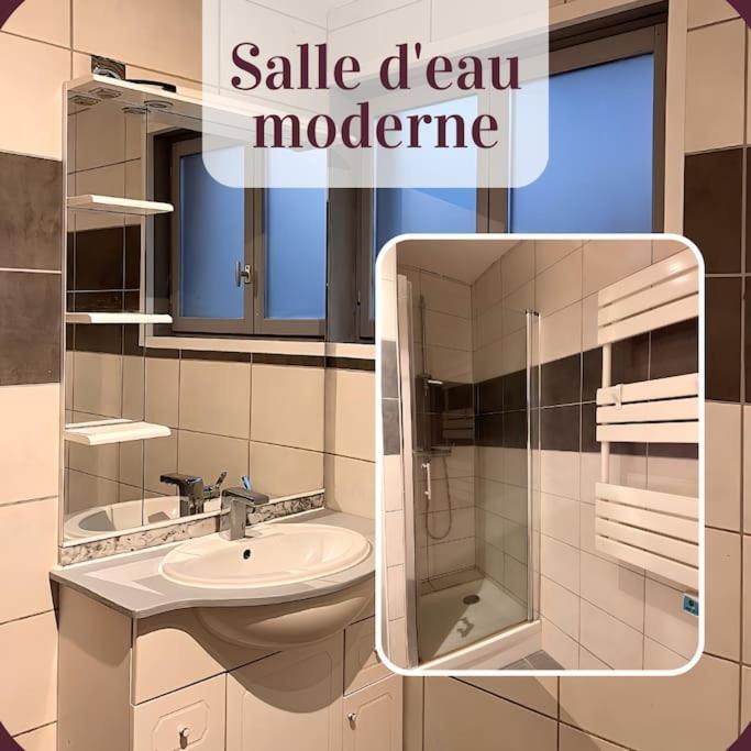 Appartement 2 Pieces Rdc En Duplex Vue Cour Parking Gratuit A 20Metres 罗阿纳 外观 照片